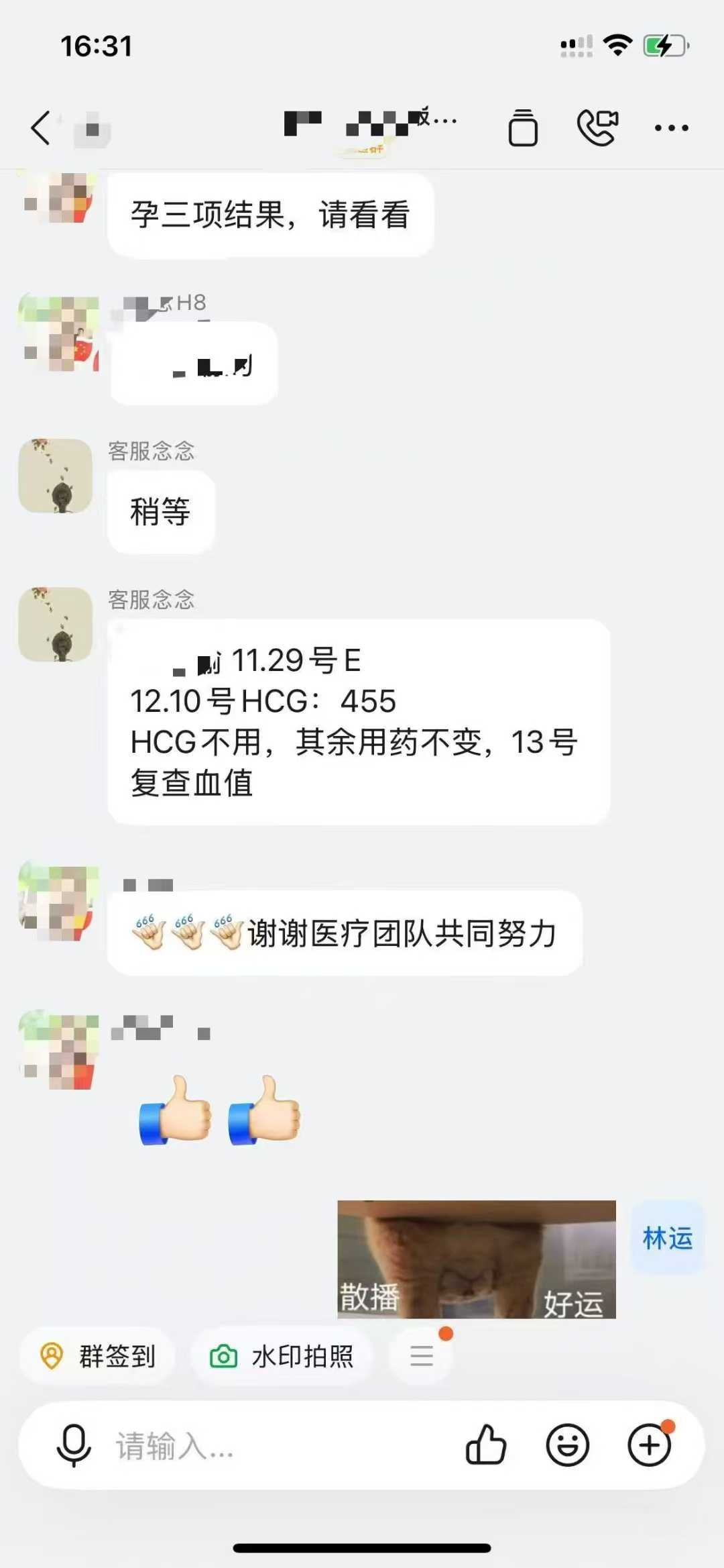 成功案例